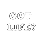 00000000000000064978