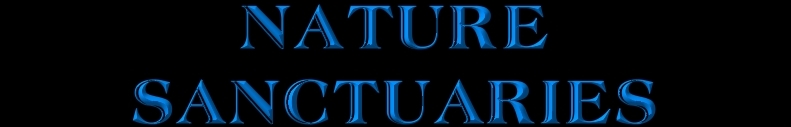 1NatureSBut
