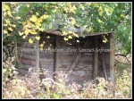 TIFFT FARM 19