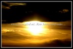 scg22 SUN 16