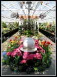 scgBotGardens 125 scgBotGardens 125