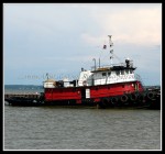 scgIMG_0225
