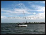 scgIMG_0242
