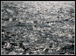 scgIMG_0260