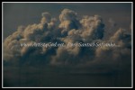 scgIMG_0264