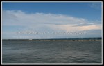 scgIMG_0274