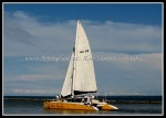scgIMG_0281