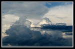 scgIMG_0321