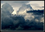 scgIMG_0326