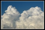 scgIMG_0340