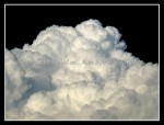 scgIMG_0341