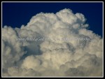 scgIMG_0342