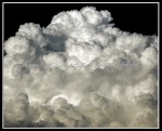 scgIMG_0345
