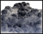 scgIMG_0345i
