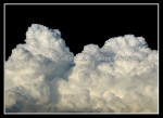 scgIMG_0346