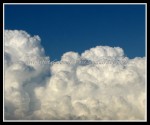 scgIMG_0348