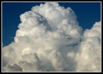 scgIMG_0352