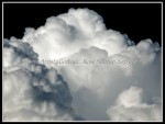 scgIMG_0355