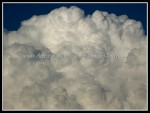 scgIMG_0356