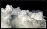 scgIMG_0357
