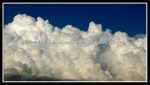 scgIMG_0359