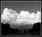 scgIMG_0360