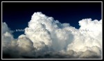 scgIMG_0366