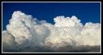 scgIMG_0367