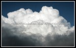 scgIMG_0369