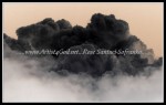 scgIMG_0369i