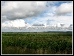 scgIMG_0451