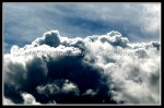 scgIMG_0496