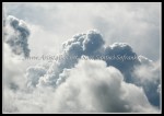 scgIMG_0501