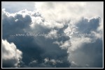 scgIMG_0503