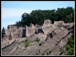 scgIMG_0609