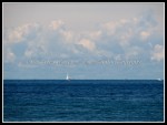 scgIMG_0611