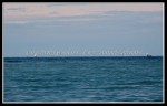 scgIMG_0626
