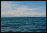scgIMG_0628
