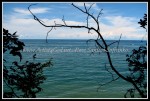 scgIMG_0662