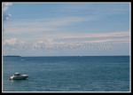 scgIMG_0664
