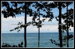scgIMG_0666