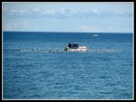 scgIMG_0671