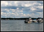 scgIMG_0716