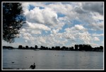 scgIMG_0719