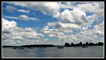 scgIMG_0720