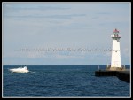 scgIMG_0722