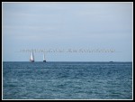 scgIMG_0736