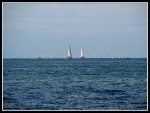 scgIMG_0742