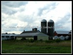 scgIMG_0779 A-BA15