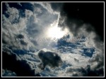 scgIMG_0785